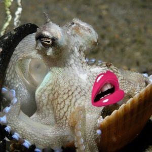 Meet your Posher, Sienna